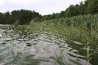 Kleiner See